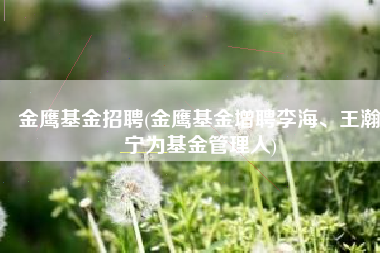 金鹰基金招聘(金鹰基金增聘李海、王瀚宁为基金管理人)