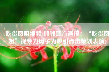 吃货凤姐视频(邯郸警方通报：“吃货凤姐”视频为母子为吸引点击策划表演)