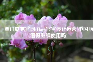 赛门铁克官网(Flash官宣停止运营 中国版值得继续使用吗)