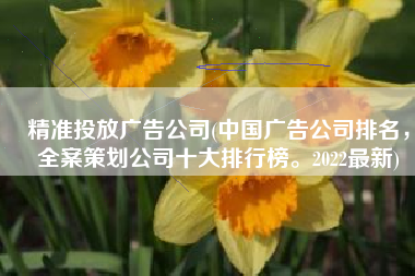 精准投放广告公司(中国广告公司排名，全案策划公司十大排行榜。2022最新)