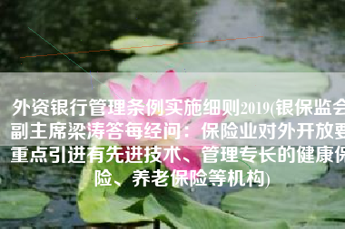 外资银行管理条例实施细则2019(银保监会副主席梁涛答每经问：保险业对外开放要重点引进有先进技术、管理专长的健康保险、养老保险等机构)