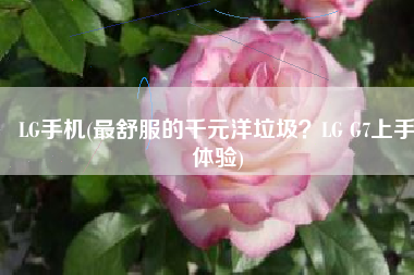 LG手机(最舒服的千元洋垃圾？LG G7上手体验)