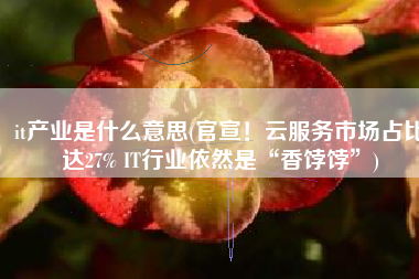 it产业是什么意思(官宣！云服务市场占比达27% IT行业依然是“香饽饽”)