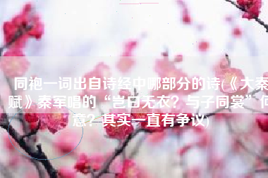 同袍一词出自诗经中哪部分的诗(《大秦赋》秦军唱的“岂曰无衣？与子同裳”何意？其实一直有争议)