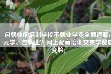 包就业的培训学校不就业学费全额退款(0元学、包就业？网上配音培训交完学费就变脸)