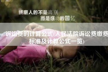 诉讼费的计算公式(人民法院诉讼费缴费标准及计算公式一览)