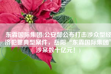 东霖国际集团(公安部公布打击涉众型经济犯罪典型案件，岳阳“东霖国际集团”涉案数十亿元！)