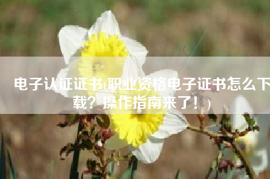 电子认证证书(职业资格电子证书怎么下载？操作指南来了！)