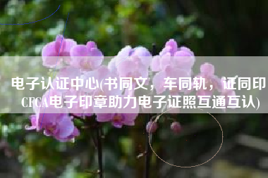 电子认证中心(书同文，车同轨，证同印！CFCA电子印章助力电子证照互通互认)