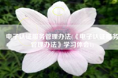 电子认证服务管理办法(《电子认证服务管理办法》学习体会1)