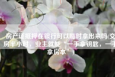 房产证抵押在银行可以临时拿出来吗(交房半小时，业主就能“一手拿钥匙，一手拿房本”)