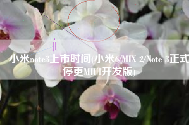 小米note3上市时间(小米6/MIX 2/Note 3正式停更MIUI开发版)