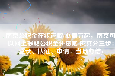 南京公积金在线还款(本周五起，南京可以网上提取公积金还贷啦 拢共分三步：登录、认证、申请，当场办结)