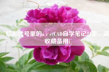 幅面代号里的a c e(CAD自学笔记21条，请收藏备用)