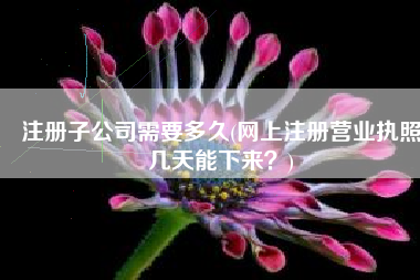 注册子公司需要多久(网上注册营业执照几天能下来？)