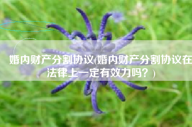 婚内财产分割协议(婚内财产分割协议在法律上一定有效力吗？)