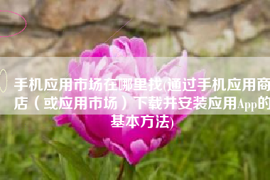 手机应用市场在哪里找(通过手机应用商店（或应用市场）下载并安装应用App的基本方法)