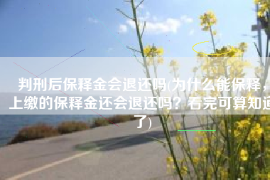 判刑后保释金会退还吗(为什么能保释，上缴的保释金还会退还吗？看完可算知道了)