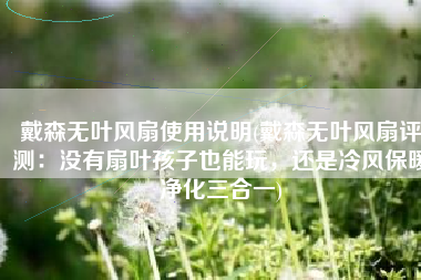 戴森无叶风扇使用说明(戴森无叶风扇评测：没有扇叶孩子也能玩，还是冷风保暖净化三合一)