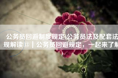 公务员回避制度规定(公务员法及配套法规解读⑬｜公务员回避规定，一起来了解)