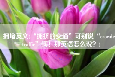 拥堵英文(“拥挤的交通”可别说“crowded traffic”啊！那英语怎么说？)