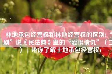 林地承包经营权和林地经营权的区别(“剧”说《民法典》里的“爱恨情仇”（三） | 带你了解土地承包经营权)