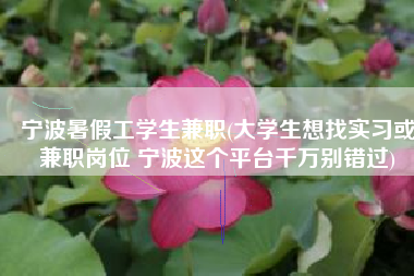 宁波暑假工学生兼职(大学生想找实习或兼职岗位 宁波这个平台千万别错过)