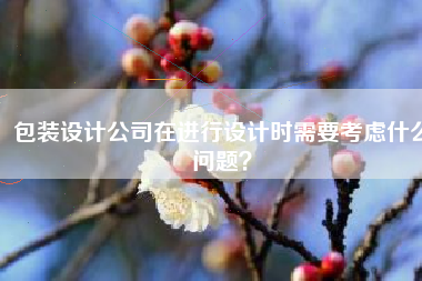 包装设计公司在进行设计时需要考虑什么问题？