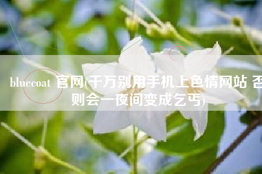 bluecoat 官网(千万别用手机上色情网站 否则会一夜间变成乞丐)