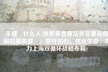 朱健翀什么人(拼多多首席法务官兼高级副总裁朱健翀：坚守初心，优化生态，助力上海双循环战略布局)