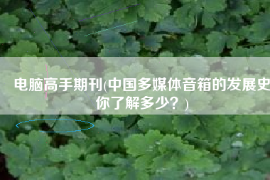电脑高手期刊(中国多媒体音箱的发展史你了解多少？)