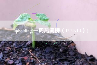 upholding(一周热词榜（12.29-1.4）)