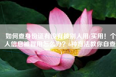 如何查身份证有没有被别人用(实用！个人信息被冒用怎么办？6种方法教你自查！)