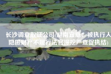 长沙调查取证公司(湖南宜章：被执行人隐匿财产不履行法官深挖严查促执结)