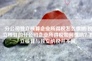 分公司独立核算企业所得税怎么缴纳(独立核算的分公司企业所得税如何缴纳？独立核算与独立纳税并不同)