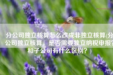 分公司独立核算怎么改成非独立核算(分公司独立核算，是否需要独立纳税申报？和子公司有什么区别？)