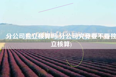 分公司独立核算吗(分公司究竟要不要独立核算)