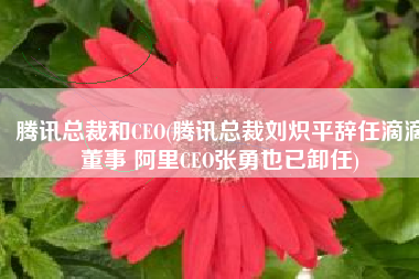 腾讯总裁和CEO(腾讯总裁刘炽平辞任滴滴董事 阿里CEO张勇也已卸任)