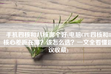 手机四核和八核哪个好(电脑CPU四核和8核心差距在哪？该怎么选？一文全看懂建议收藏)