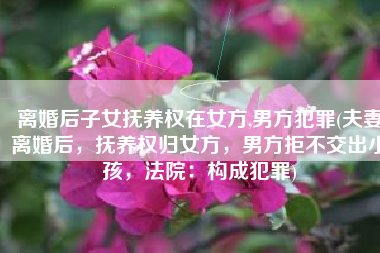 离婚后子女抚养权在女方,男方犯罪(夫妻离婚后，抚养权归女方，男方拒不交出小孩，法院：构成犯罪)