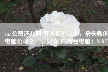 sun公司还在吗(乔布斯创立的，最失败的电脑公司之一，只卖了5万台电脑：NeXT)