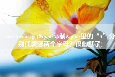 dutch courage("AA制"里的“A”分别代表哪两个字母？很幽默了)
