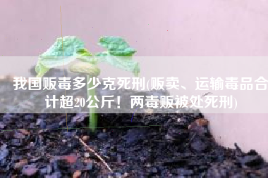 我国贩毒多少克死刑(贩卖、运输毒品合计超20公斤！两毒贩被处死刑)