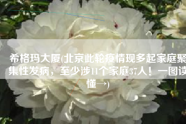 希格玛大厦(北京此轮疫情现多起家庭聚集性发病，至少涉11个家庭37人！一图读懂→)