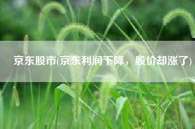 京东股市(京东利润下降，股价却涨了)
