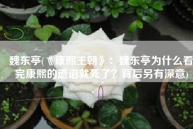 魏东亭(《康熙王朝》：魏东亭为什么看完康熙的遗诏就死了？背后另有深意)