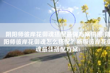 阴阳师彼岸花御魂搭配最强方案带图(阴阳师彼岸花御魂怎么搭配？新版彼岸花御魂最佳搭配方案)