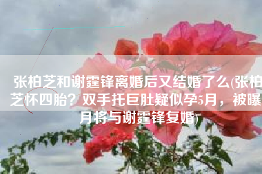 张柏芝和谢霆锋离婚后又结婚了么(张柏芝怀四胎？双手托巨肚疑似孕5月，被曝9月将与谢霆锋复婚)