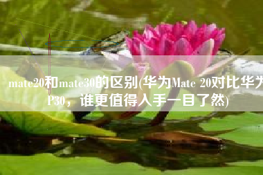 mate20和mate30的区别(华为Mate 20对比华为P30，谁更值得入手一目了然)