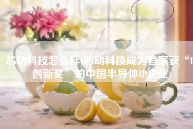 芯动科技怎么样(芯动科技成为首家获“IC创新奖”的中国半导体IP企业)